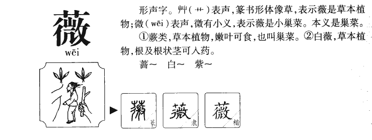薇字字源字形