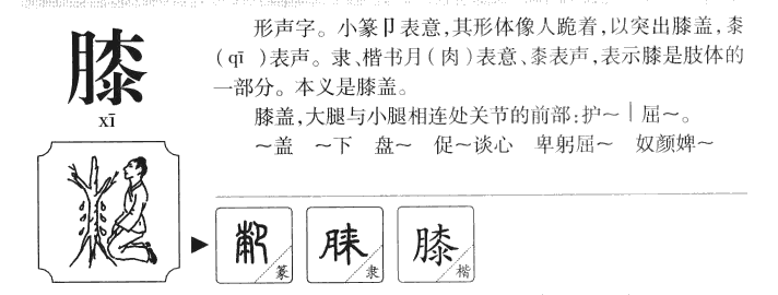 膝字字源字形