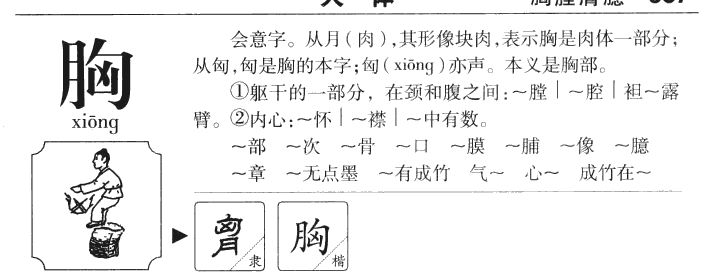 胸字字源字形