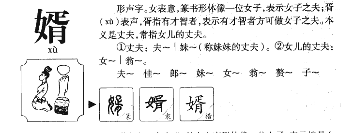 婿字字源字形