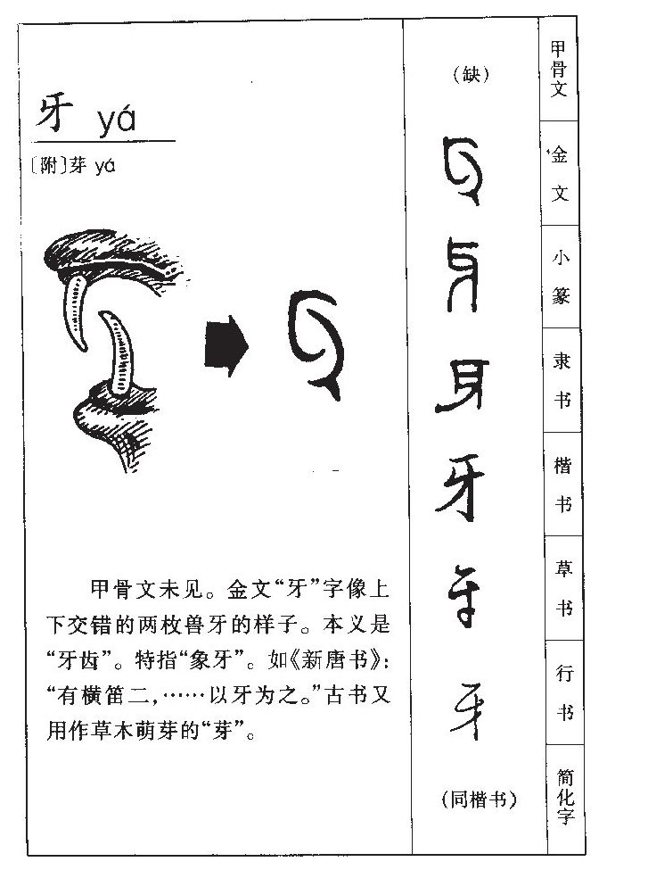 牙字字源字形
