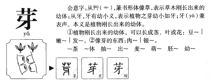 芽字字源字形