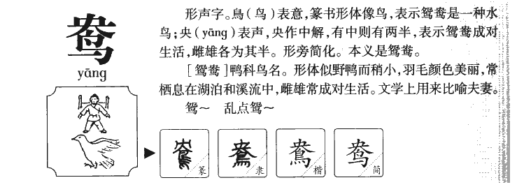 鸯字字源字形
