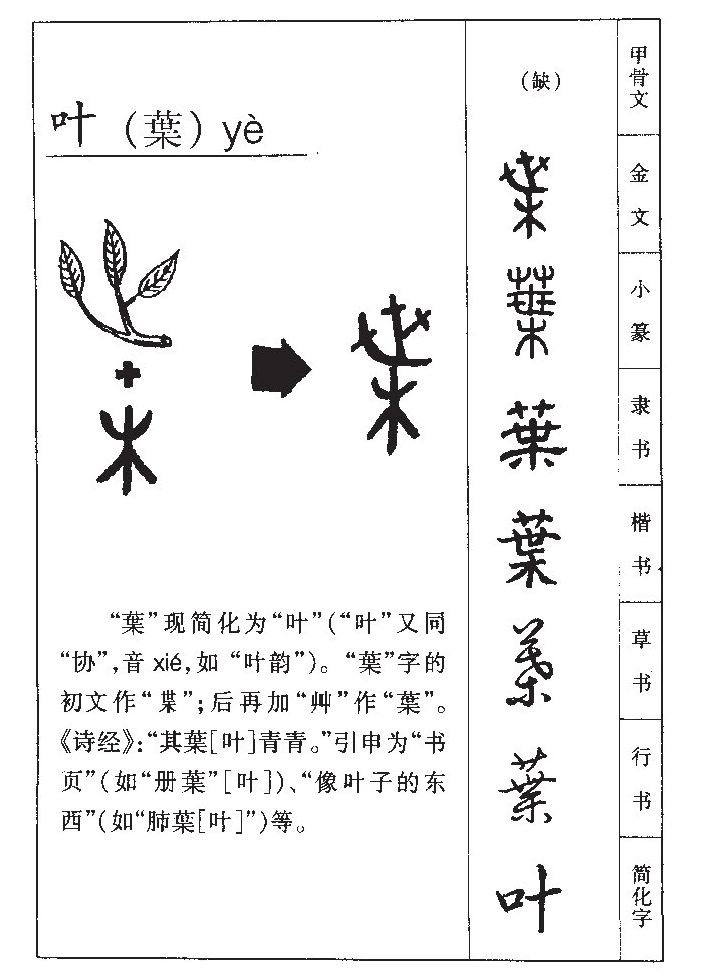 叶字字源字形