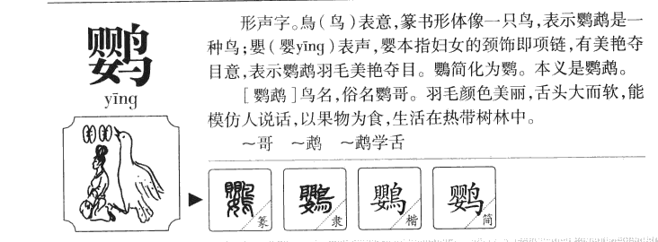 鹦字字源字形