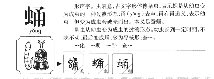 蛹字字源字形