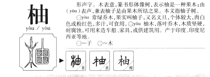 柚字字源字形
