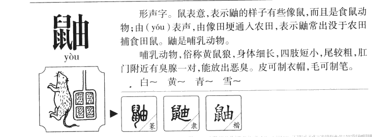 鼬字字源字形