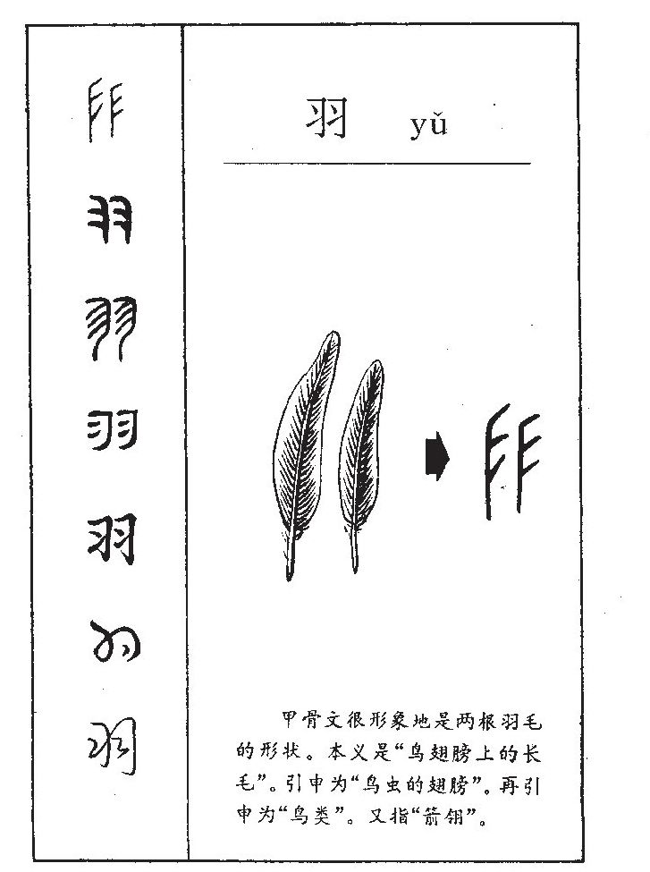 羽字字源字形