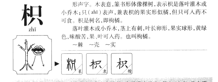 枳字字源字形