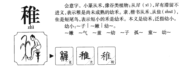 稚字字源字形