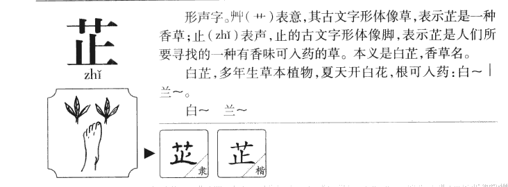 芷字字源字形