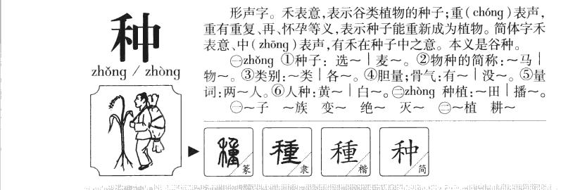 种字字源字形