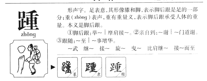 踵字字源字形