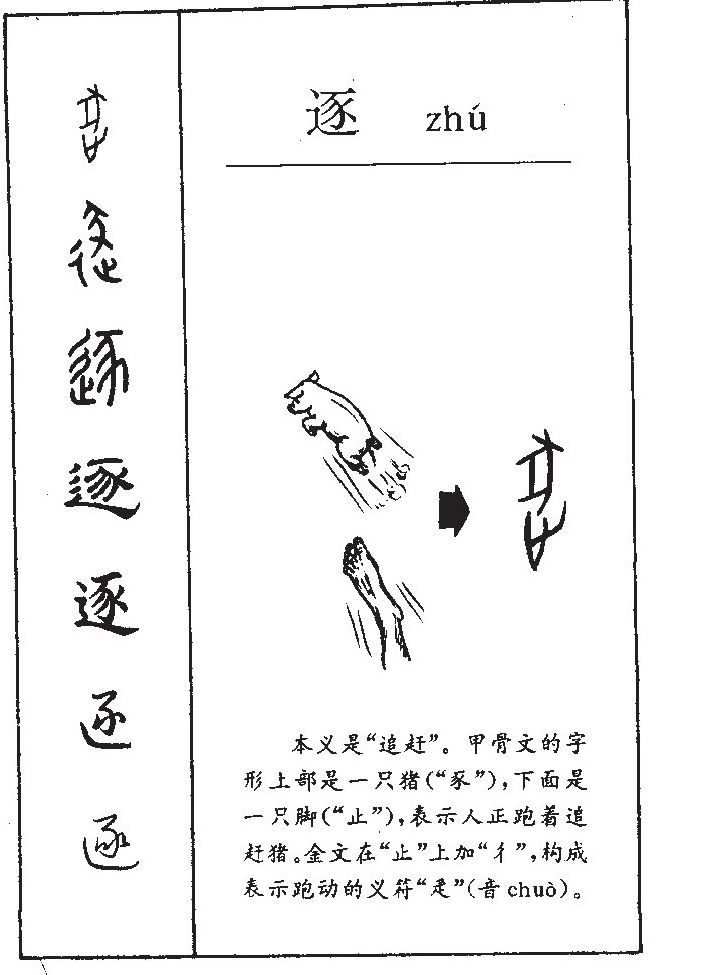 逐字字源字形