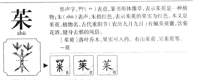 茱字字源字形