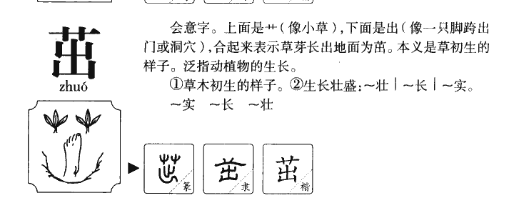 茁字字源字形