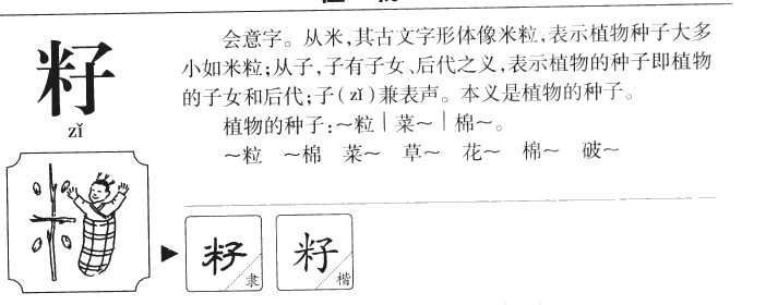 籽字字源字形