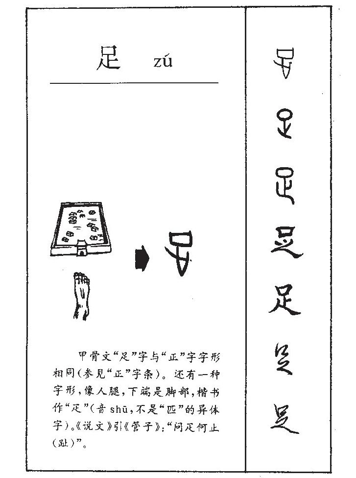 足字字源字形