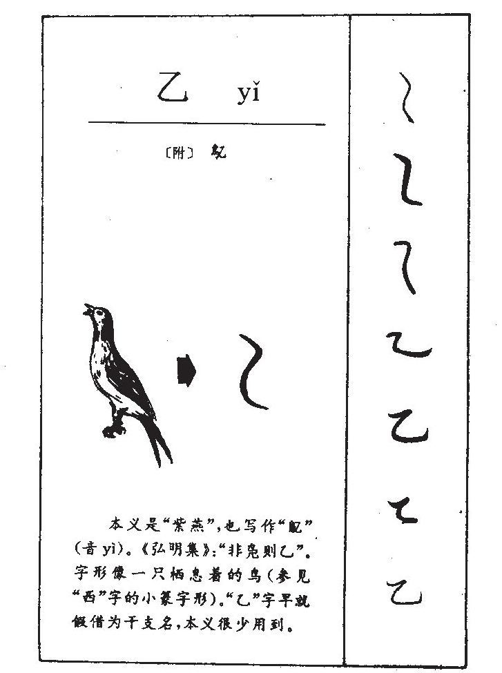 乙字字源字形